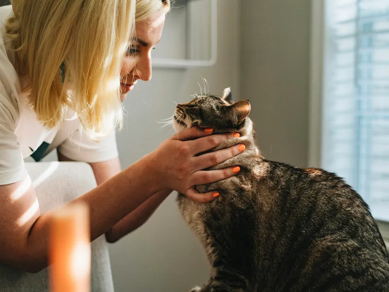 Servicio Veterinario