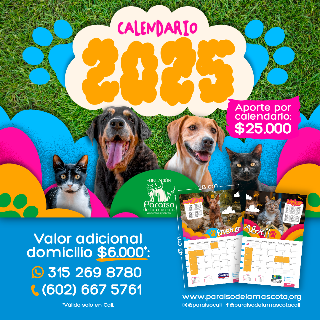 Calendario 2025